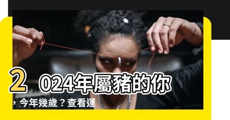 屬豬年份|屬豬今年幾歲？2024屬豬生肖年齡對照表！屬豬性格特質